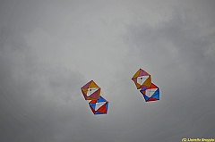 Venice kite festival_0318